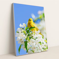 Golden Song of Spring by Mark Olsen - Silver Frame Stretchiez