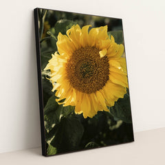 7090298454051 - Product Image