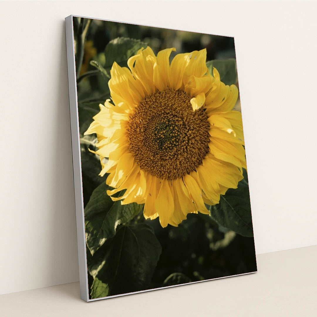 7090298454051 - Product Image