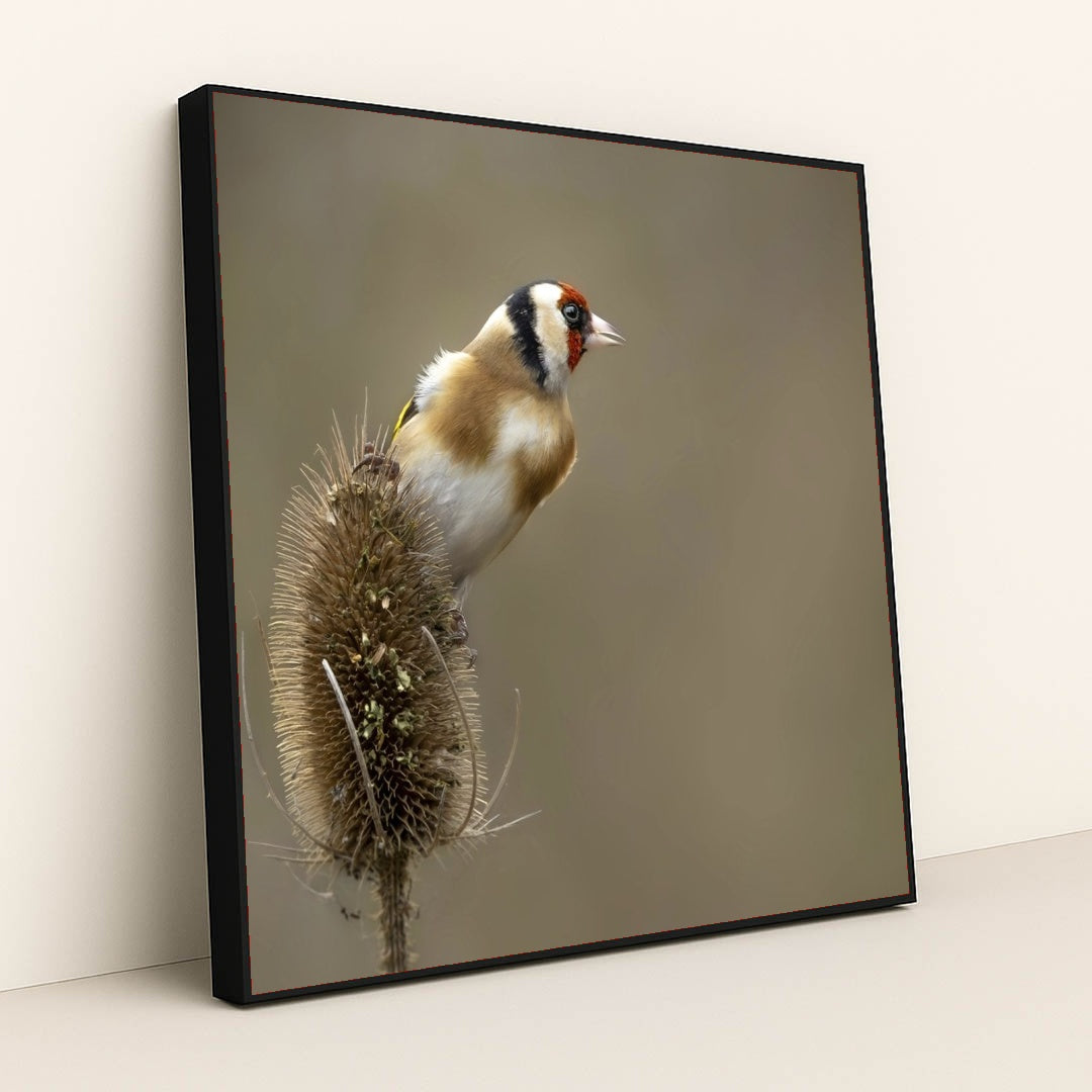 7090334629923 - Product Image