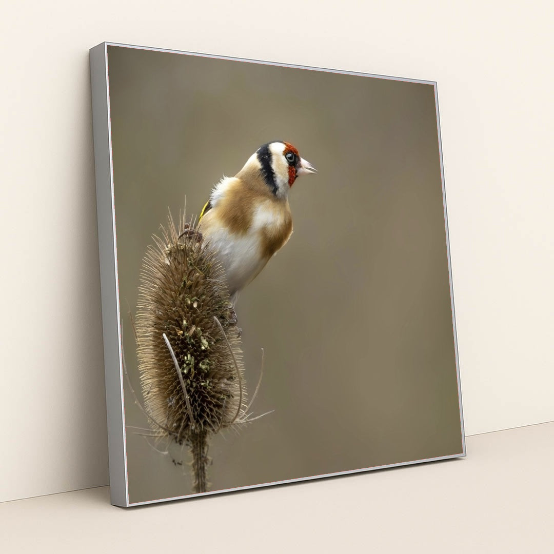 7090334629923 - Product Image