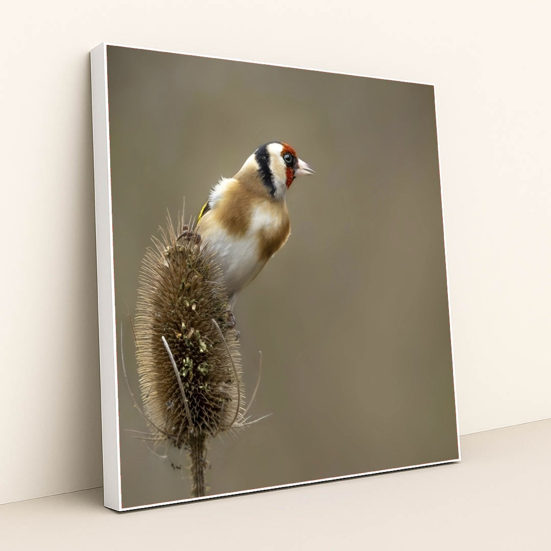 7090334629923 - Product Image