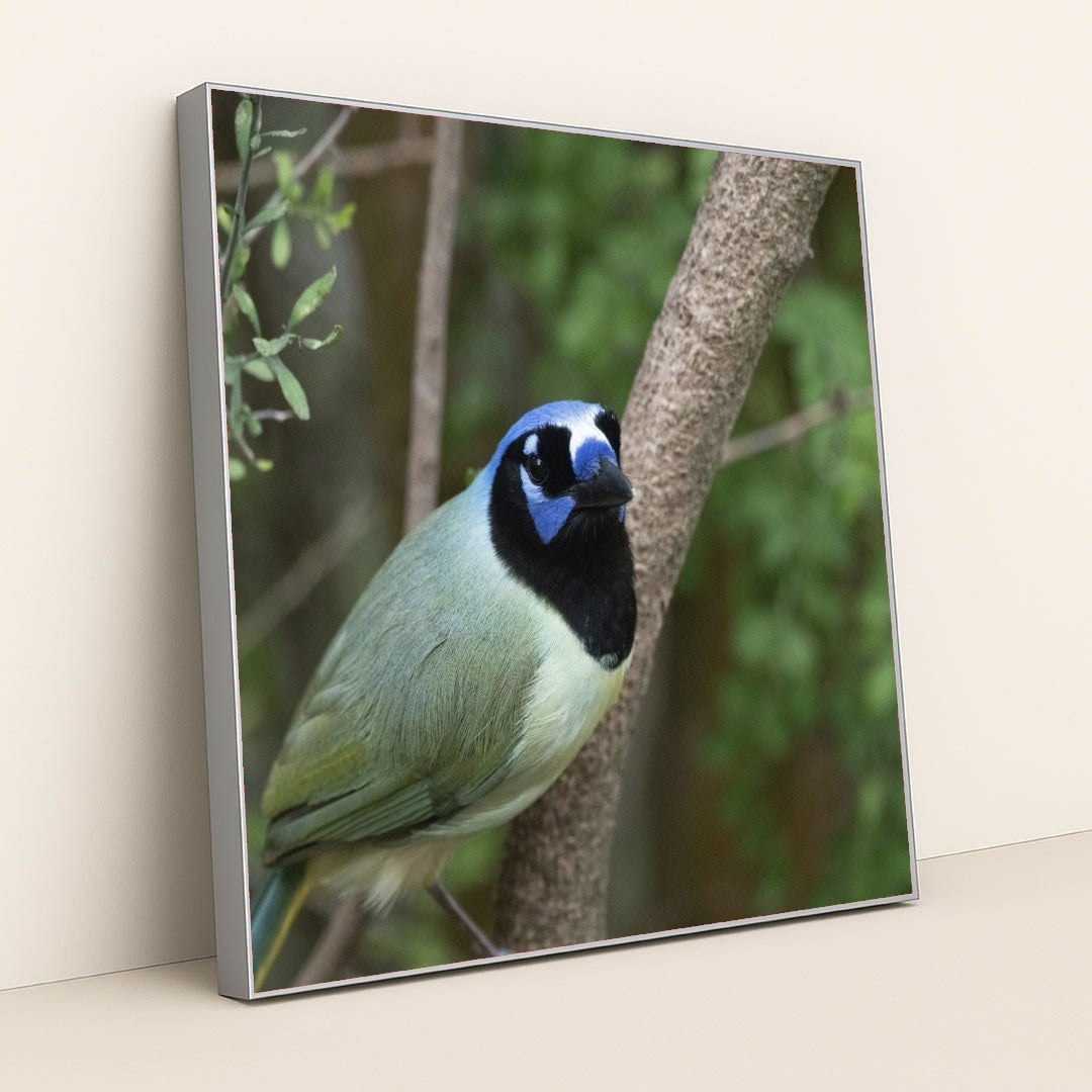 7090328829987 - Product Image