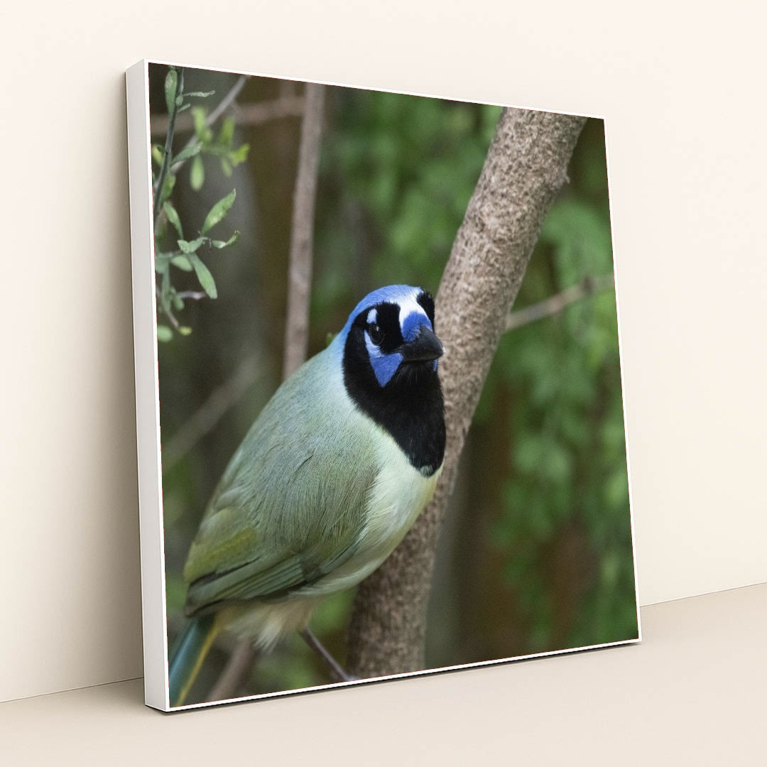 7090328829987 - Product Image