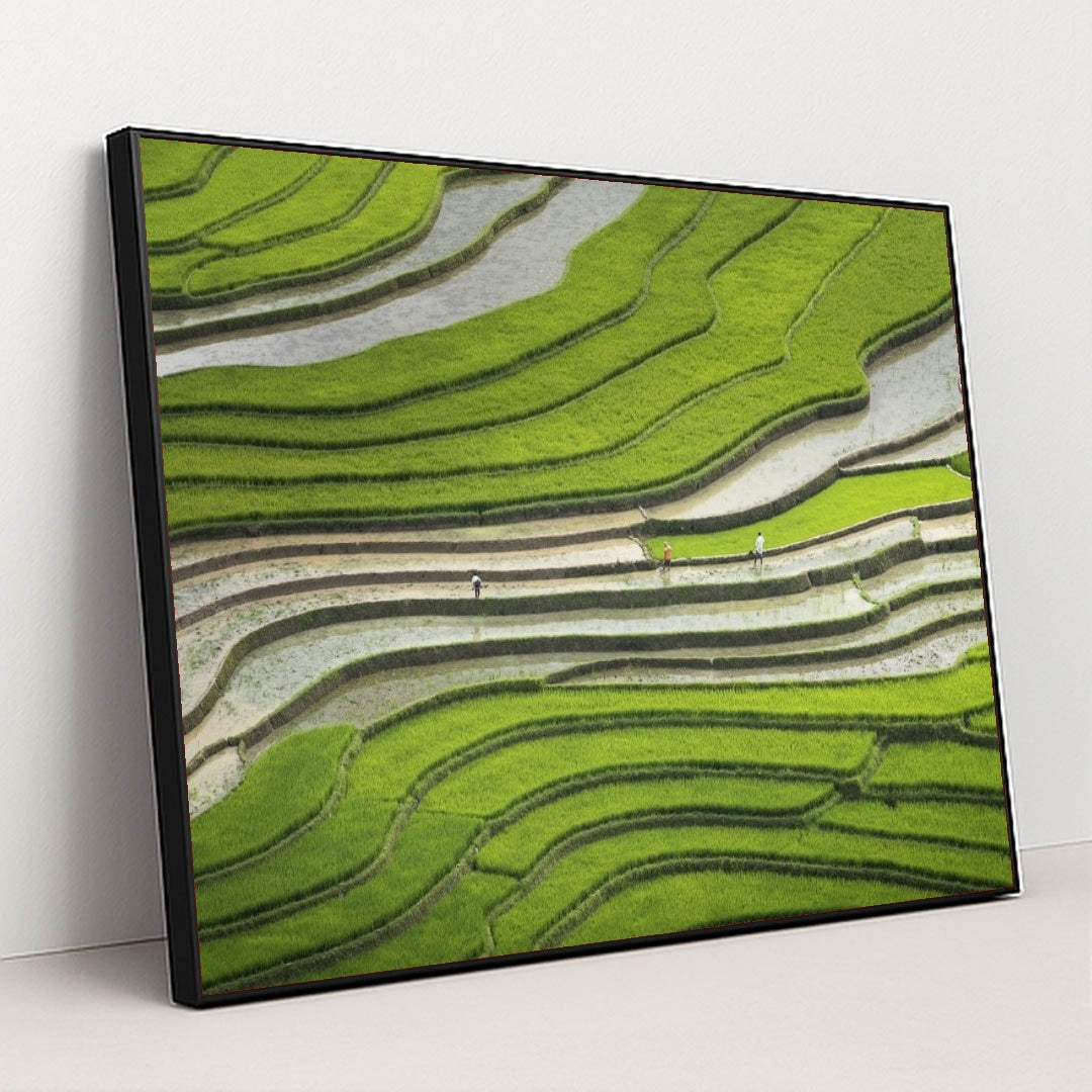 7090355568675 - Product Image