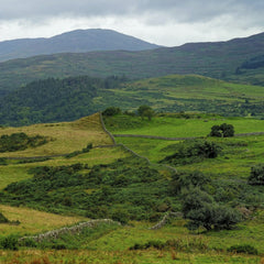 Graeme Travers - Vibrant landscape showcasing verdant rolling hills and stone walls under a cloudy sky.
