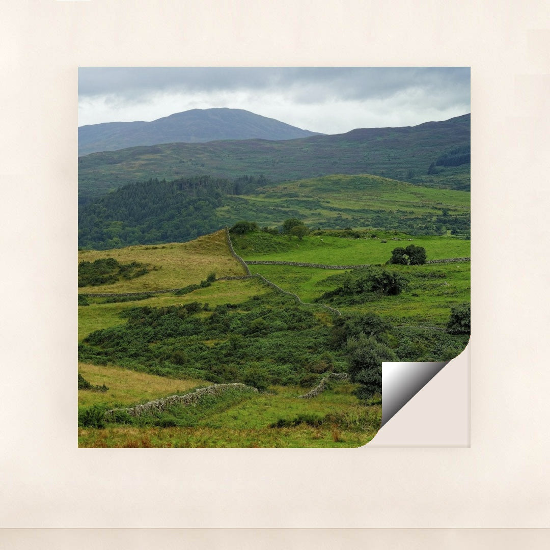 7090297962531 - Product Image