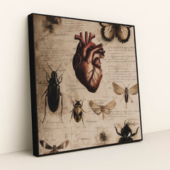 6428 - Product Image