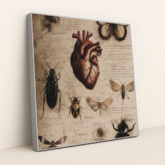 6428 - Product Image