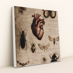 6428 - Product Image