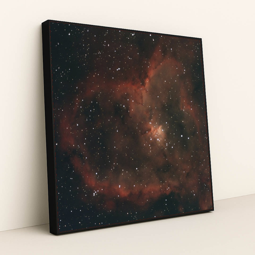 7090369986595 - Product Image