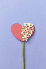 DS stories - A red heart cutout adorned with white flowers against a blue background, symbolizing love.