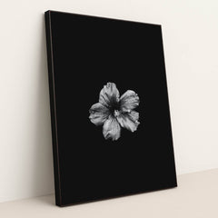 7090295013411 - Product Image