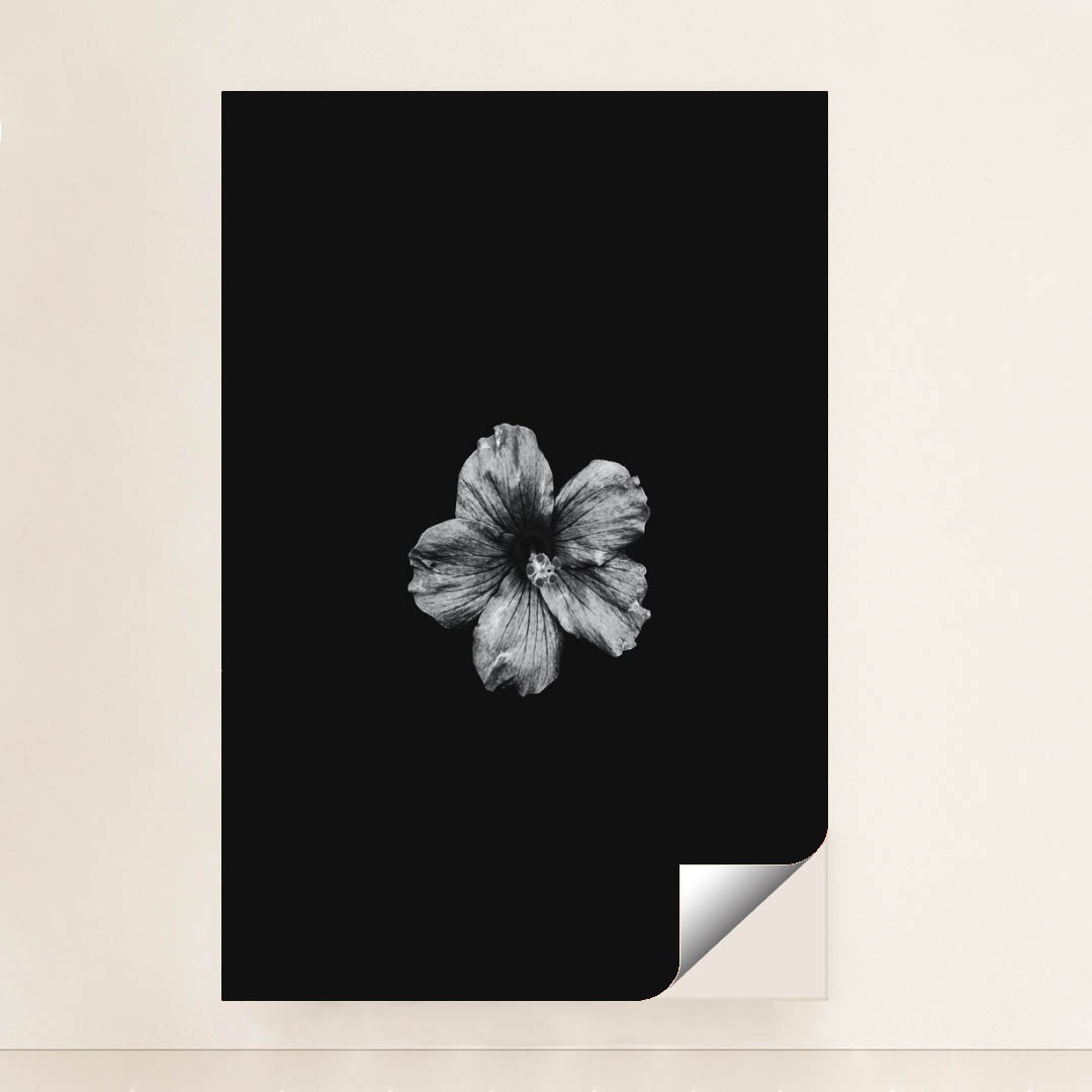 7090295013411 - Product Image