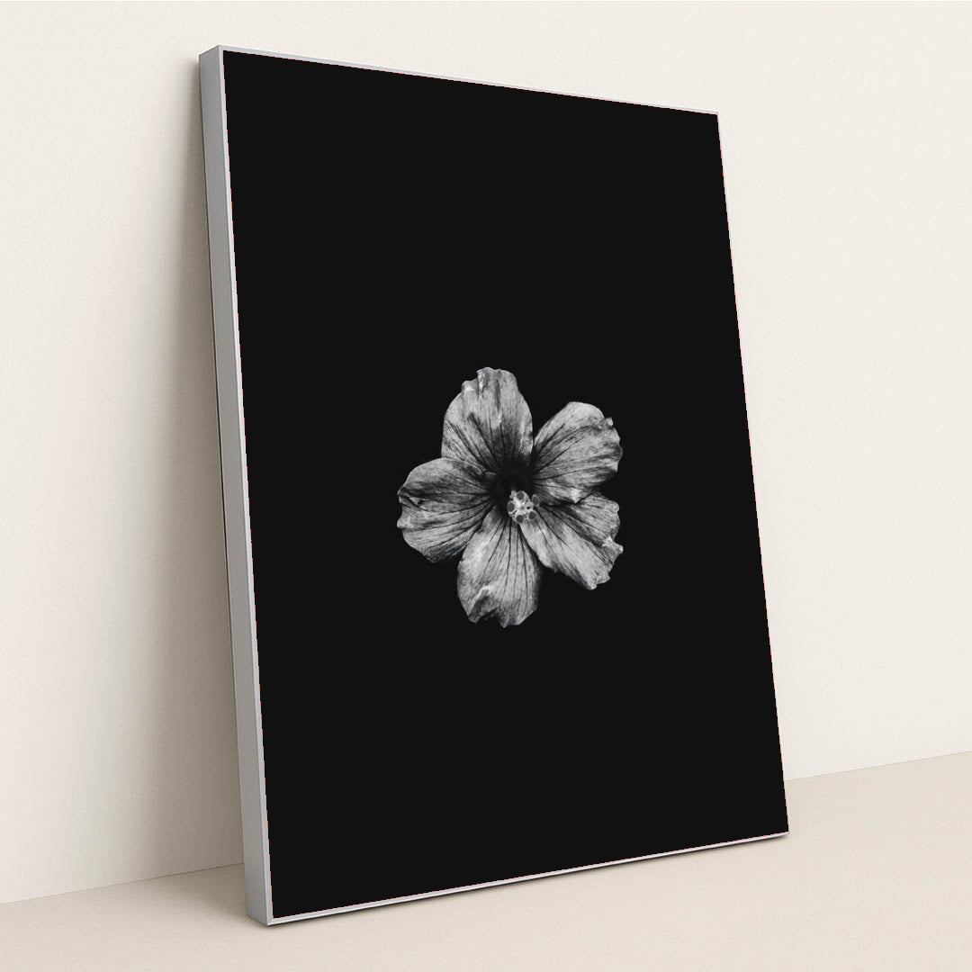 7090295013411 - Product Image