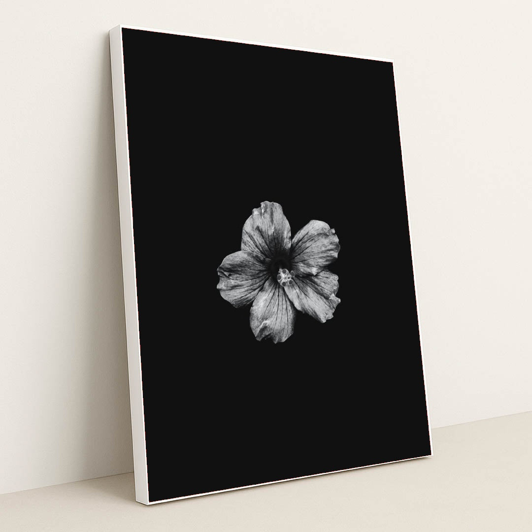 7090295013411 - Product Image