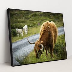 7090290720803 - Product Image