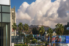 Simon Steiner - View of the Hollywood Sign with palm trees and city scene in West Hollywood, California.