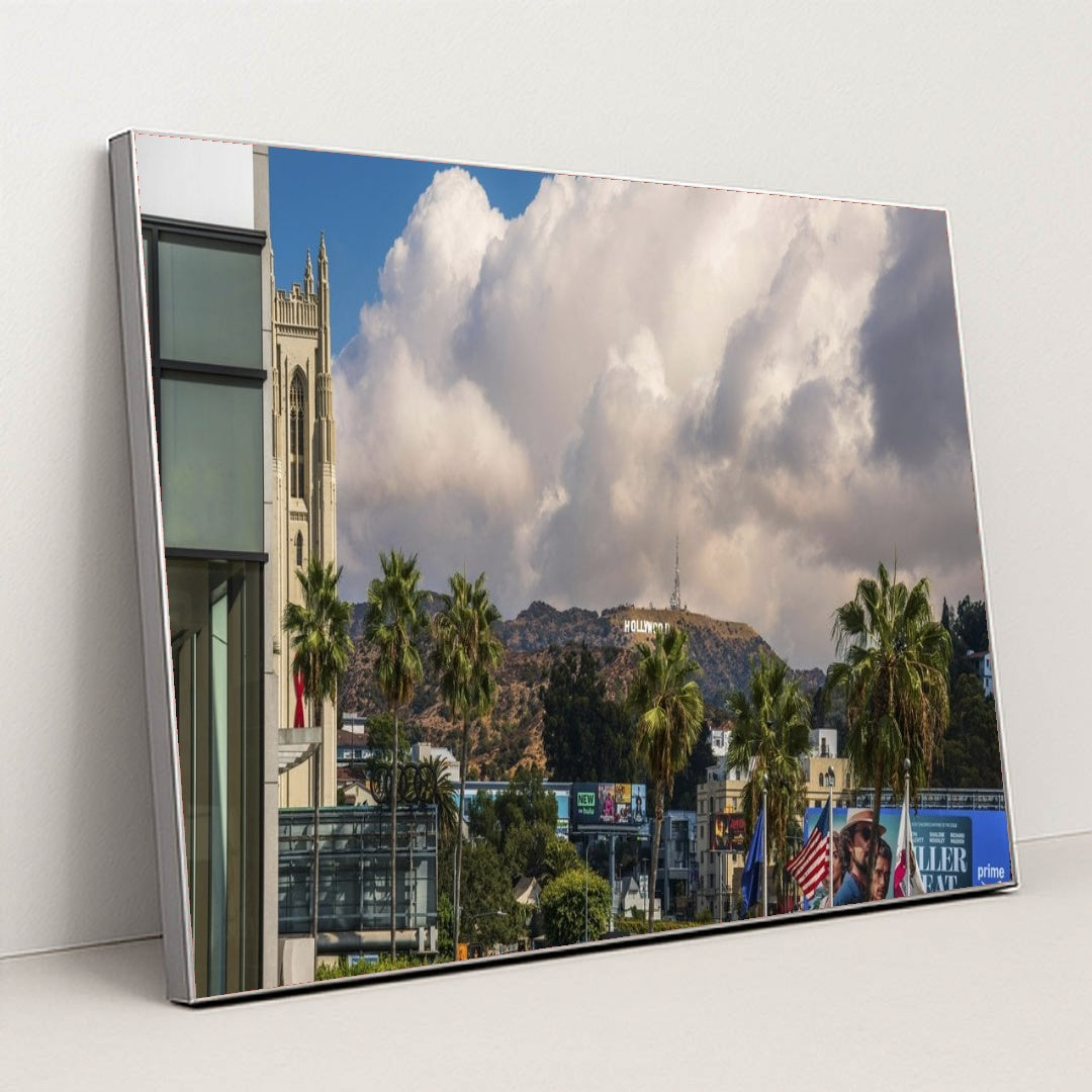 7090805637155 - Product Image