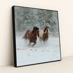 Hooves of the North by Jessica A - Black Frame Stretchiez