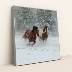 Hooves of the North by Jessica A - Silver Frame Stretchiez