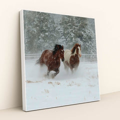 Hooves of the North by Jessica A - White Frame Stretchiez