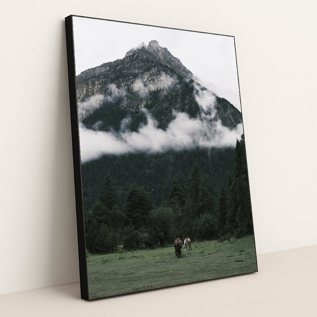 Horses Grazing on Meadow beneath Misty Mountain and Pine Forest by tee Lau - Black Frame Stretchiez