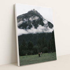 Horses Grazing on Meadow beneath Misty Mountain and Pine Forest by tee Lau - White Frame Stretchiez
