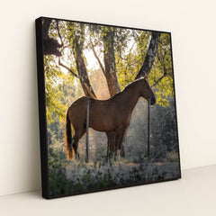 7090232852515 - Product Image