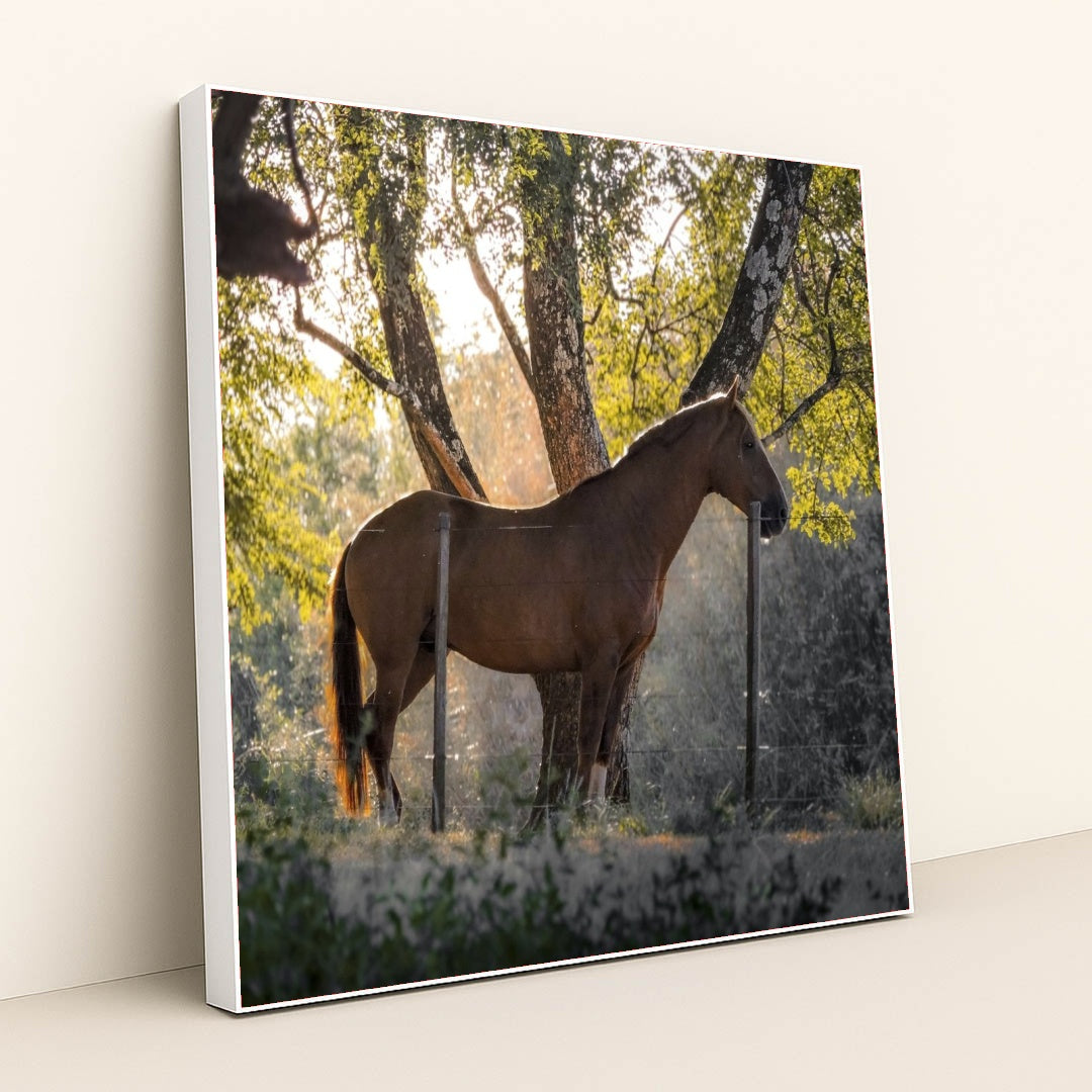 7090232852515 - Product Image