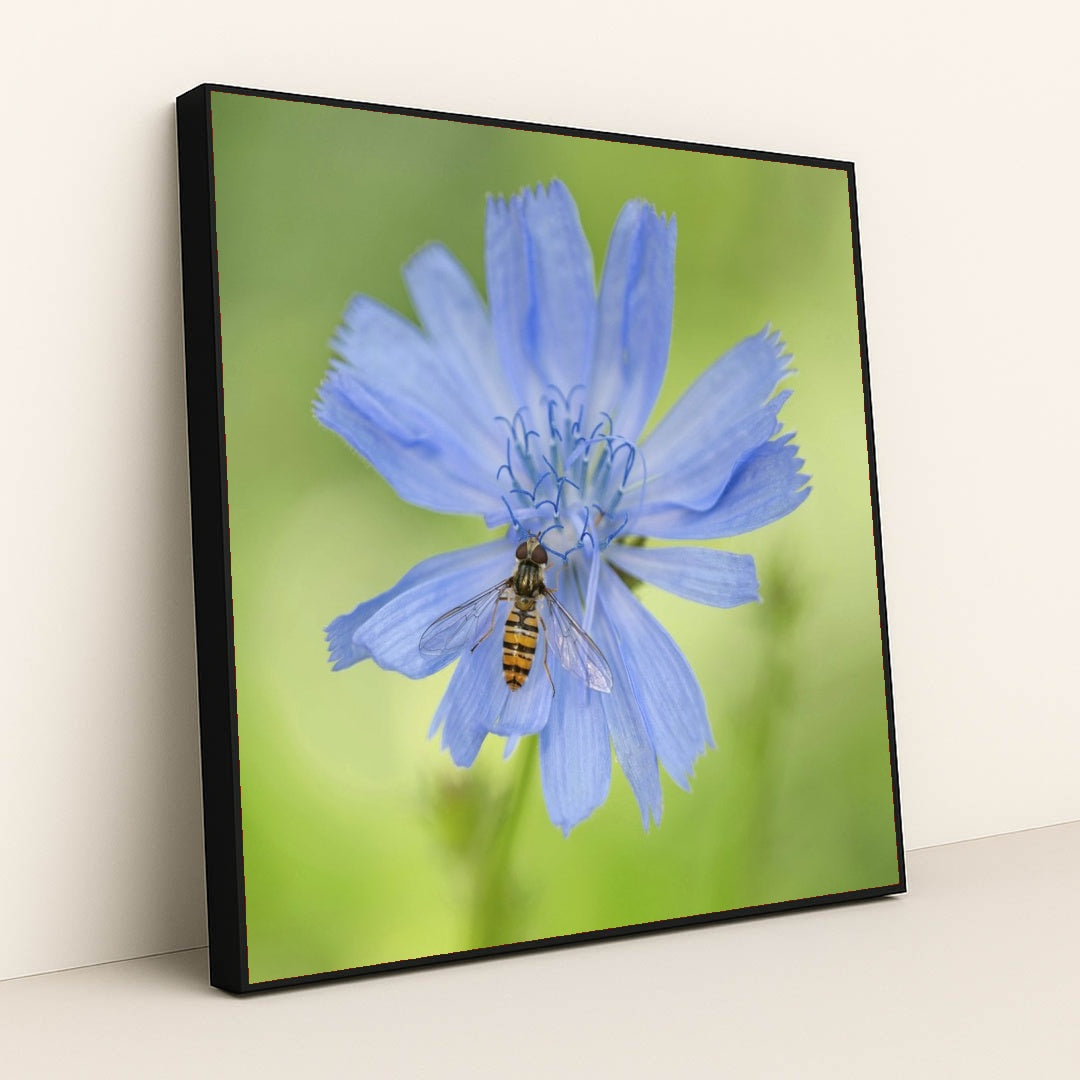 7090292391971 - Product Image