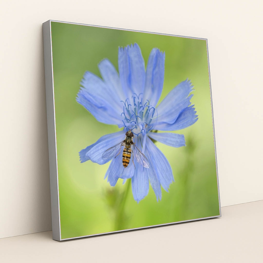 7090292391971 - Product Image