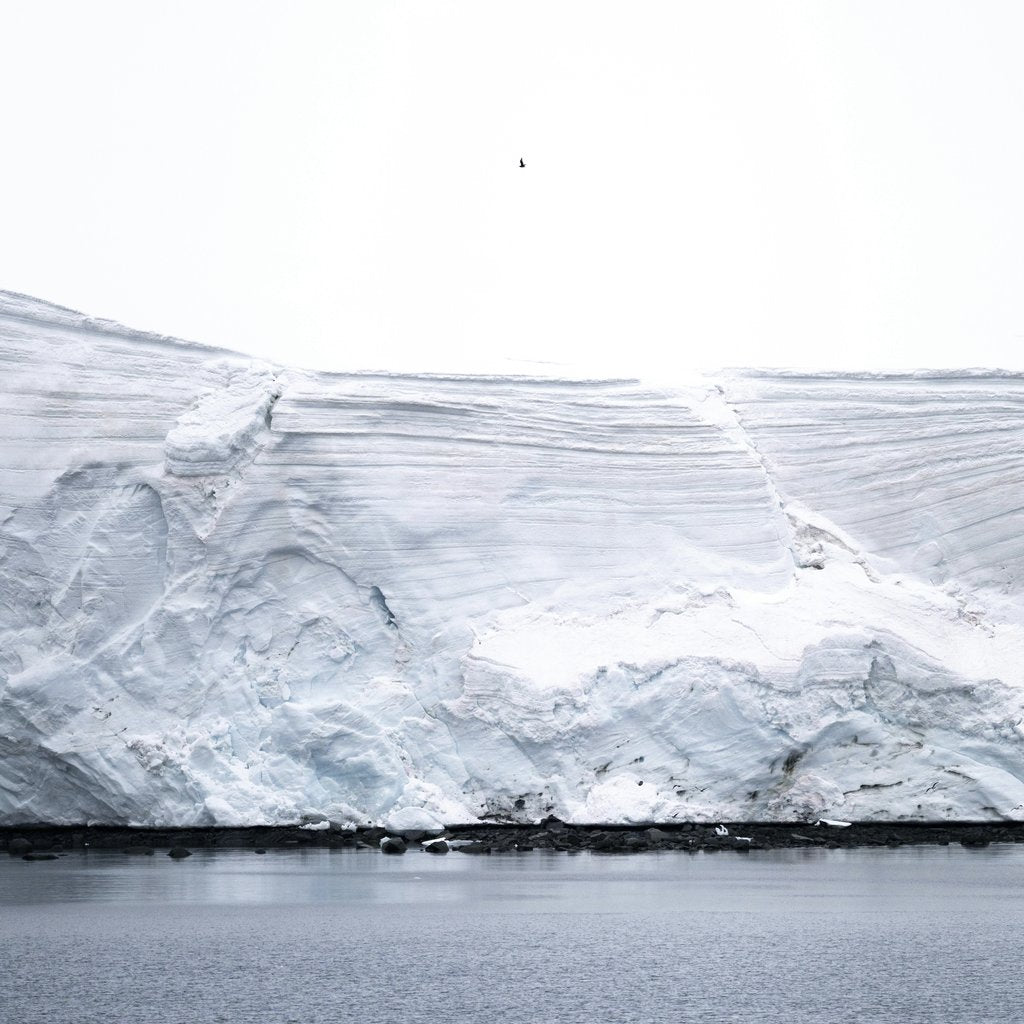 Hugo Sykes - A stunning landscape of a massive glacier meeting the ocean, capturing the beauty of the polar regions.