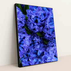 Indigo Hyacinth Bloom by Maria Gavrilova - Black Frame Stretchiez