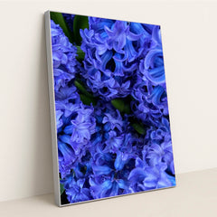 Indigo Hyacinth Bloom by Maria Gavrilova - Silver Frame Stretchiez