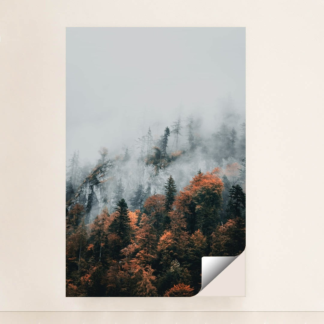 Into the Mist by Julien Riedel - Peeliez