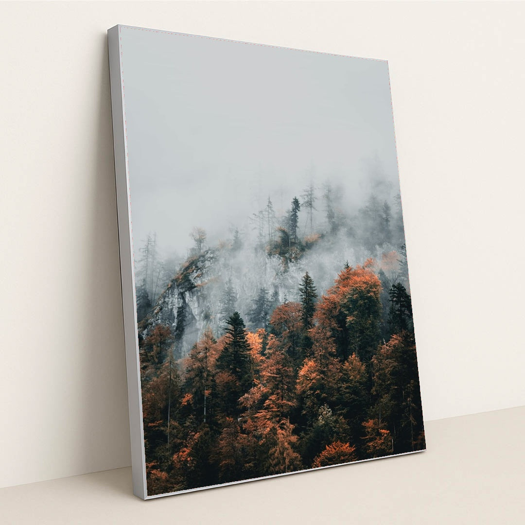 Into the Mist by Julien Riedel - Silver Frame Stretchiez
