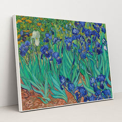 Irises (1889) by Vincent Van Gogh - White Frame Stretchiez