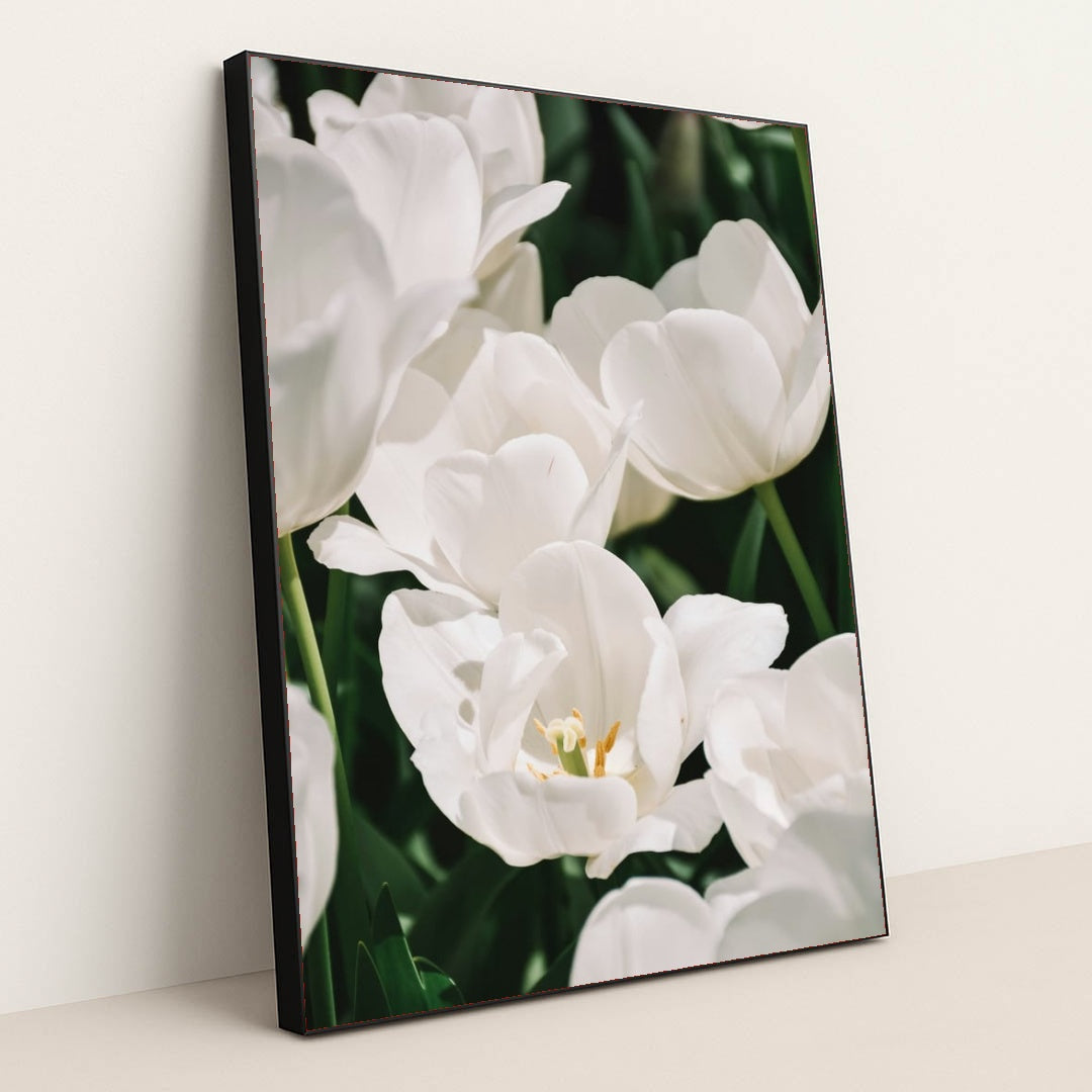 Ivory Bloom by Content Pixie - Black Frame Stretchiez