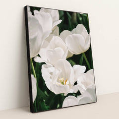 Ivory Bloom by Content Pixie - Black Frame Stretchiez