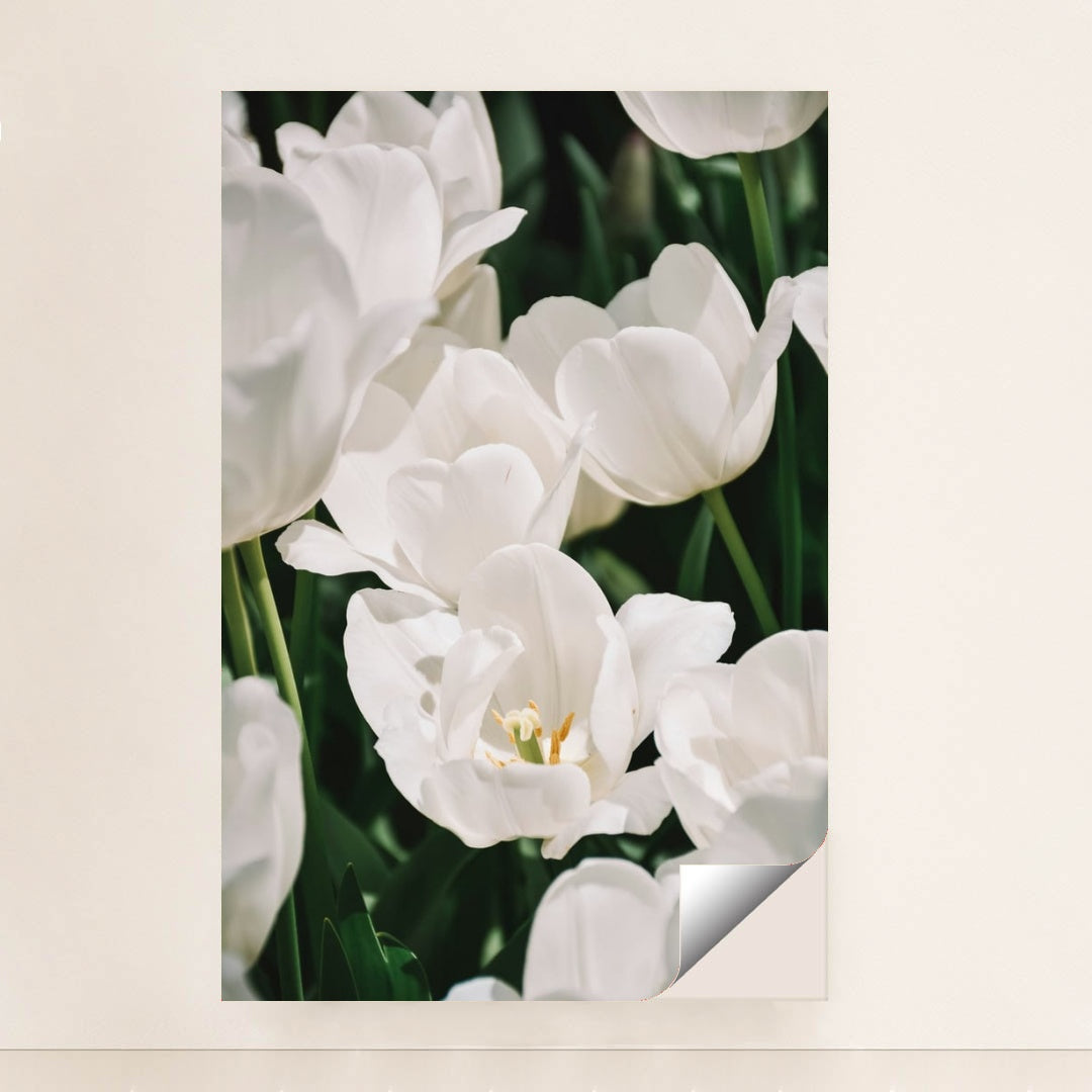 Ivory Bloom by Content Pixie - Peeliez