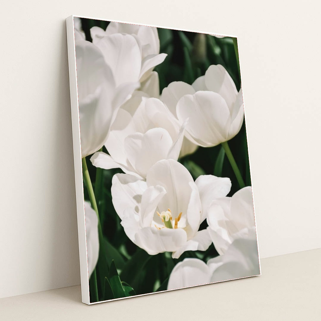 Ivory Bloom by Content Pixie - White Frame Stretchiez