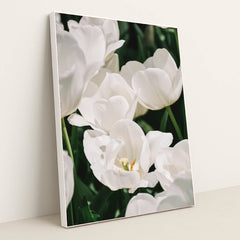 Ivory Bloom by Content Pixie - White Frame Stretchiez