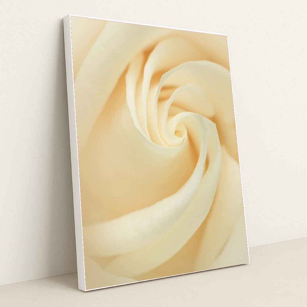 7090287706147 - Product Image