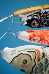 Tsuyoshi Kozu - A group of kites that are flying in the sky photo