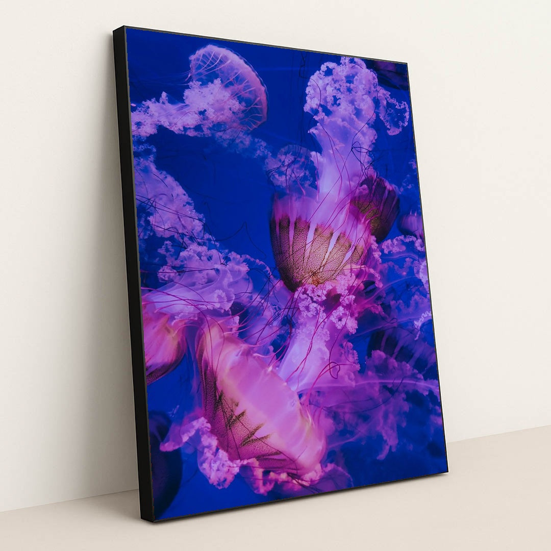 Jellyfish swimming in a tank by Francesco Liotti - Black Frame Stretchiez