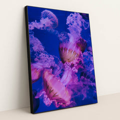 Jellyfish swimming in a tank by Francesco Liotti - Black Frame Stretchiez