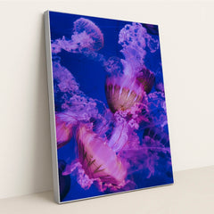 Jellyfish swimming in a tank by Francesco Liotti - Silver Frame Stretchiez