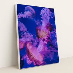 Jellyfish swimming in a tank by Francesco Liotti - White Frame Stretchiez