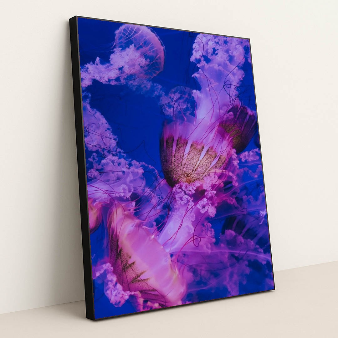 7077675565091 - Product Image